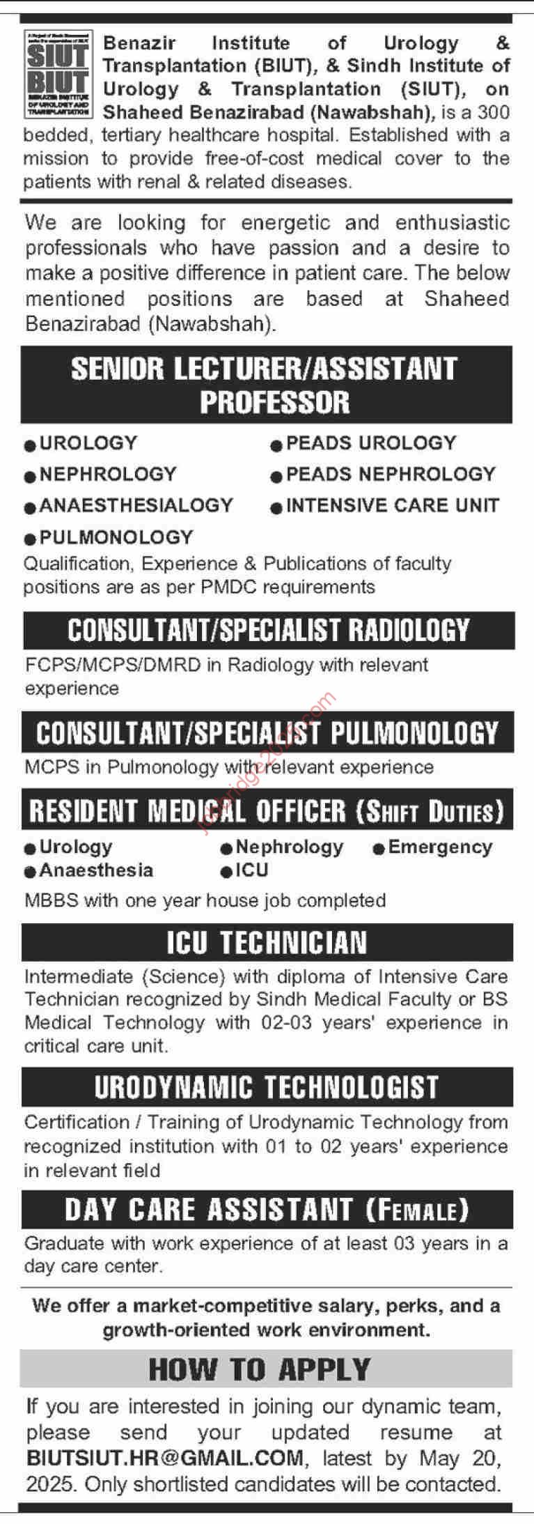 Benazir Institute of Urology and Transplantation BIUT Jobs 2025