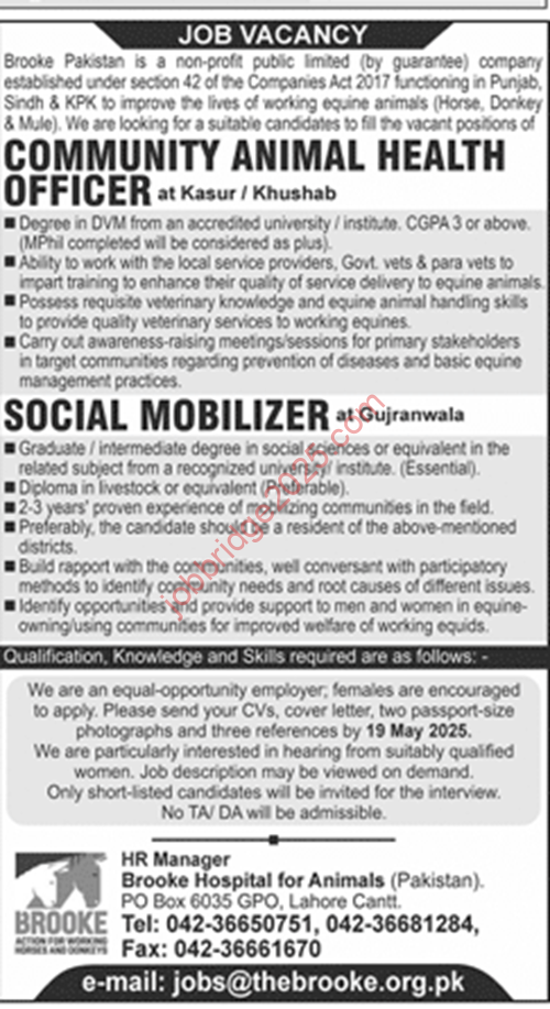 Brooke Pakistan Lahore Jobs 2025