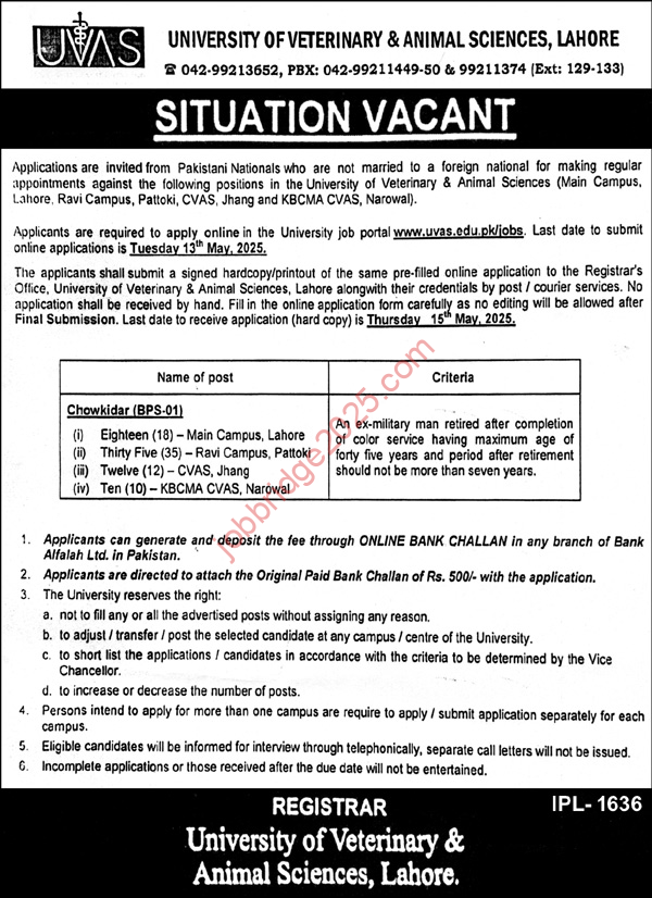 University of Veterinary & Animal Sciences Lahore Jobs 2025